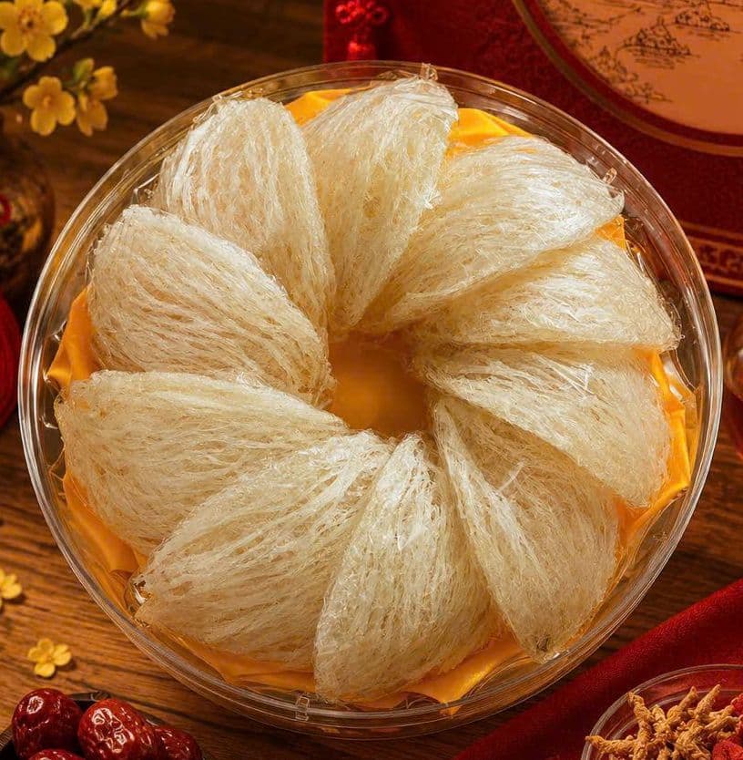 Tổ yến